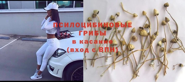 прущие крисы Липки