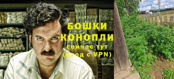apvp Лиски