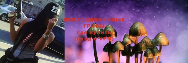 стафф Нефтекумск
