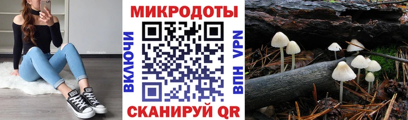 Галлюциногенные грибы Psilocybe  Чаплыгин 